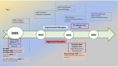 Looking Beyond the Glioblastoma Mask: Is Genomics the Right Path?